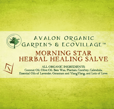 Morning Star Herbal Healing Salve - Avalon Country Store