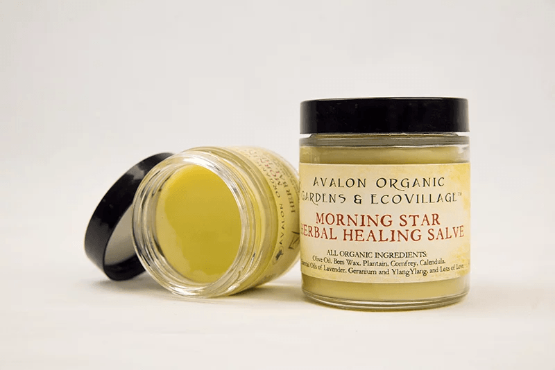 Morning Star Herbal Healing Salve - Avalon Country Store