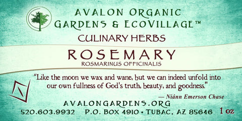 Rosemary - Avalon Country Store